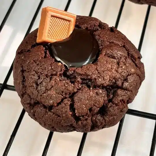 طرز تهیه کوکی خانگی | آموزش کامل با نکات حرفهای + مواد لازم - دستور پخت کوکی ها خوشمزه طرز تهیه کوکی خانگی | آموزش کامل با نکات حرفهای + مواد لازم از Luna Cake