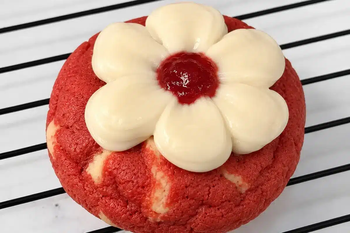 طرز تهیه کوکی کافی‌شاپی؛ آموزش کامل + معرفی محبوب‌ترین کوکی ها از Luna Cake